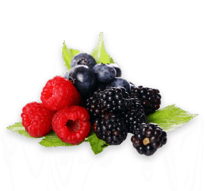 Fresh Berries