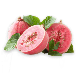 Guava Fruit